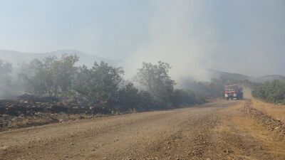 Bingöl'deki yangın 6 gün sonra söndürüldü