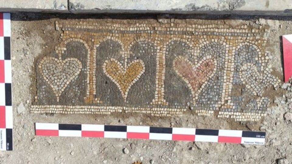 Kurtarma kazısında bulundu... Sergilenecek!