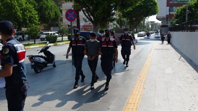 Caretta caretta katliamında yeni gelişme