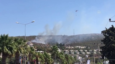 Bodrum'da bir orman yangını daha!