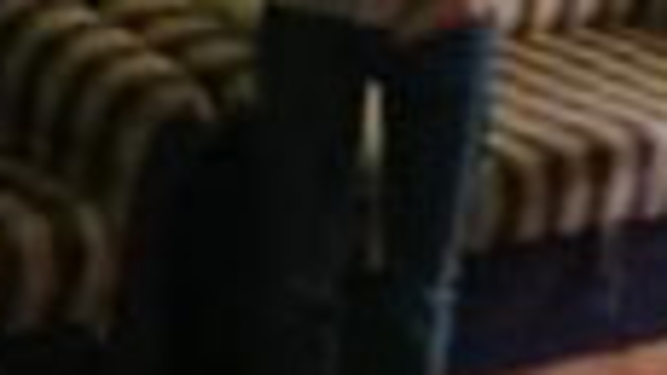 Van'da 36 kaçak göçmen yakalandı