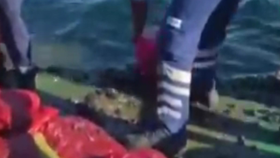 230 çuval içinde bulundular, denize bırakıldılar!