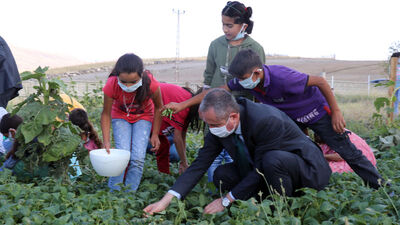 Okulun bostanıyla öğrencilerin eğitim masrafı karşılanıyor