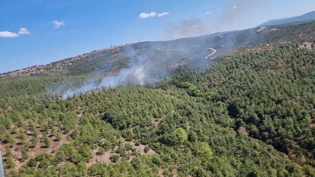 Balıkesir Burhaniye'de orman yangını