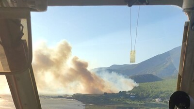 Aydın'da ormanlık alanda yangın!