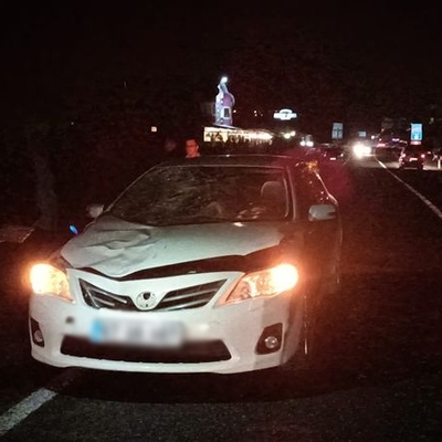 Otomobilin çarptığı abla ve kardeş kurtarılamadı