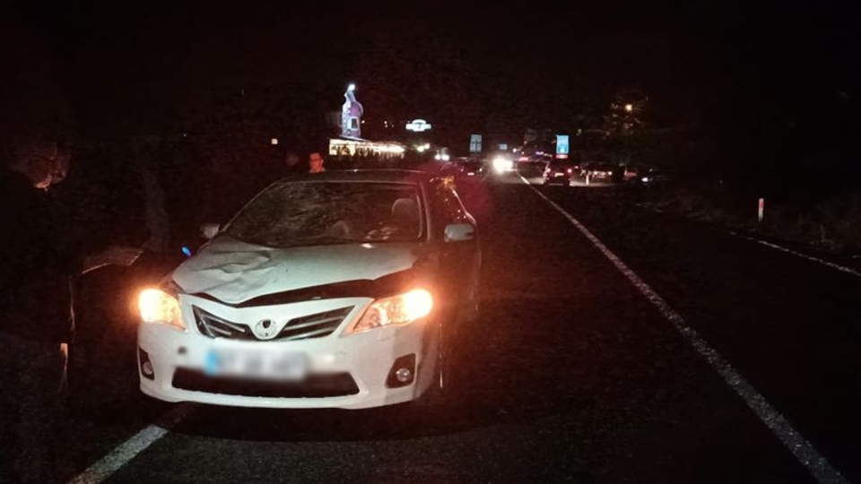 Otomobilin çarptığı abla ve kardeş kurtarılamadı