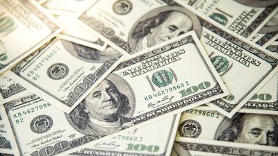 İşte OVP'deki dolar kuru tahmini