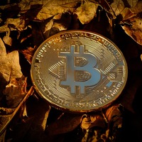 Bitcoin eylül fobisini yenecek mi?