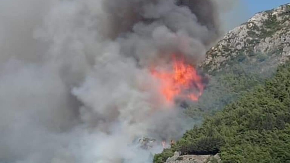 Hatay'da korkutan orman yangını!