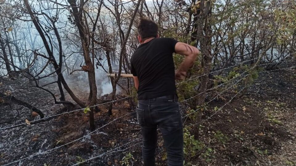 Bingöl'deki orman yangını söndürüldü