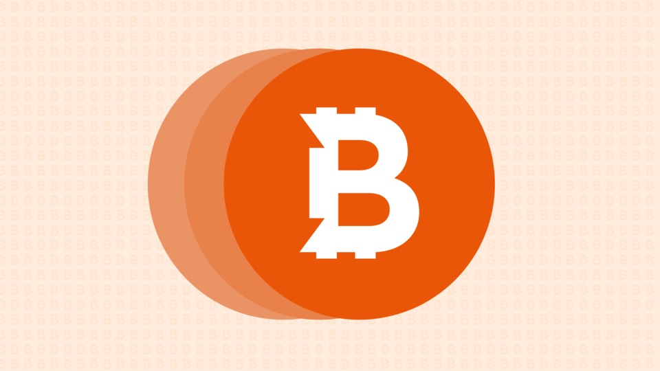 Beşiktaş'tan 5.6 milyon Euro'luk imza