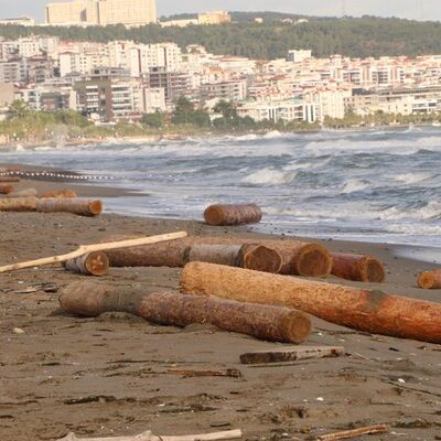 Tam 200 km! Sinop'tan Samsun'a!