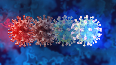 Dünyayı saran koronavirüs, bu köye giremedi!