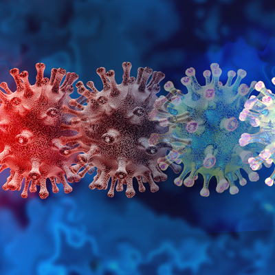 Dünyayı saran koronavirüs, bu köye giremedi!