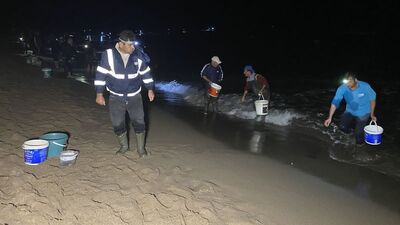 Amasra'da tonlarca balık kıyıya vurdu, kovayı alan sahile koştu