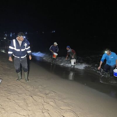 Amasra'da tonlarca balık kıyıya vurdu, kovayı alan sahile koştu