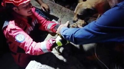 Duygulandıran buluşma! Yanı başından bir an olsun ayrılmadı