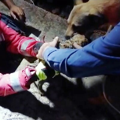 Duygulandıran buluşma! Yanı başından bir an olsun ayrılmadı