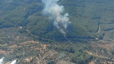 İzmir'de korkutan orman yangını!