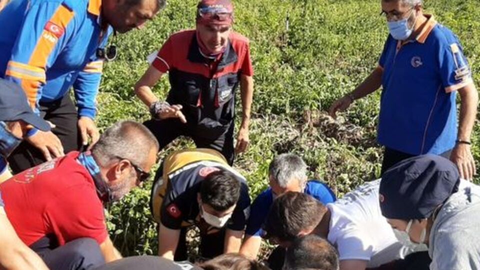 Patates tarlasına düştü!