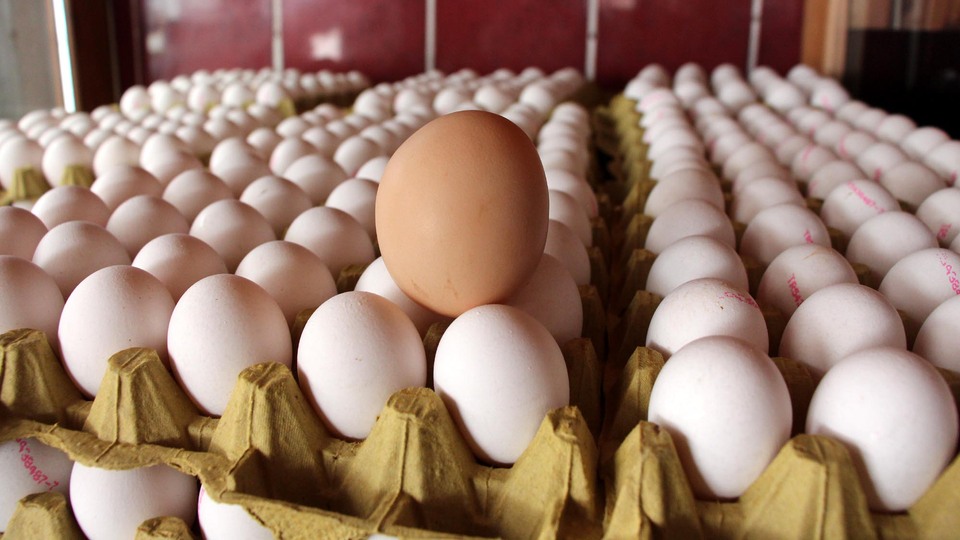 Yumurta üretimi azaldı
