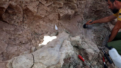 Bu seneye kadar böylesi bulunamamıştı... 9 bin yıllık!