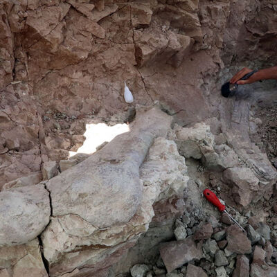 Bu seneye kadar böylesi bulunamamıştı... 9 bin yıllık!