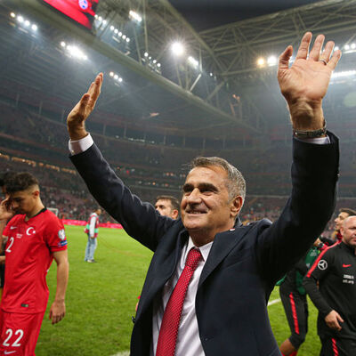 Milli Takım'da Şenol Güneş dönemi sona erdi!