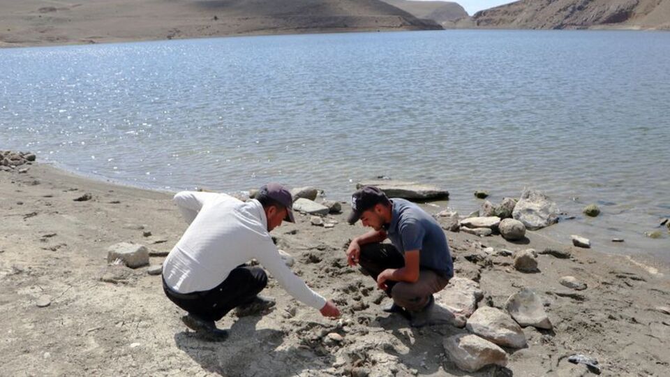Kıyıda yüzen kemikler var! 2005'ten beri görülmüyordu