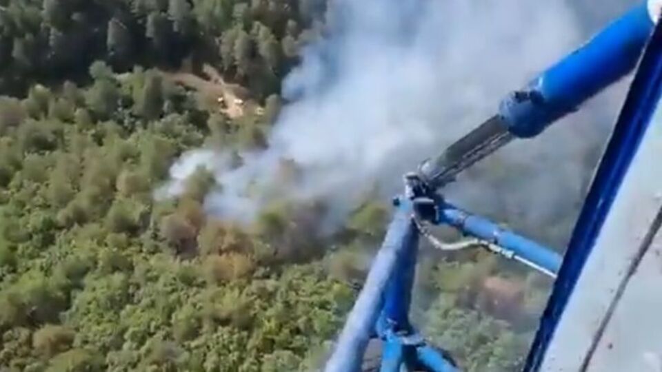 Balıkesir'de orman yangını!