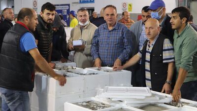 Kilosu 5 TL'ye kadar düştü, vatandaş kasayla alıyor!