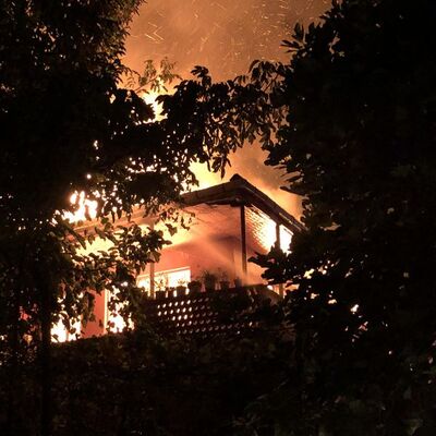 Köpek beslemesinden şikayetçi oldu, evi yaktı!