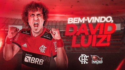 David Luiz, Flamengo'da