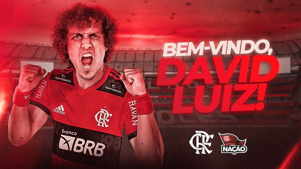 David Luiz, Flamengo'da