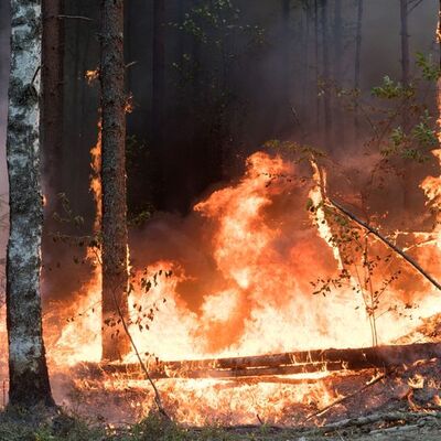 En soğuk bölgelerden birindeki yangın uzaydan görüntülendi!