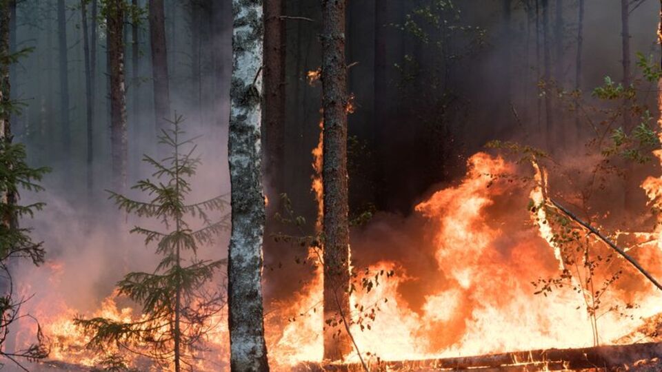 En soğuk bölgelerden birindeki yangın uzaydan görüntülendi!