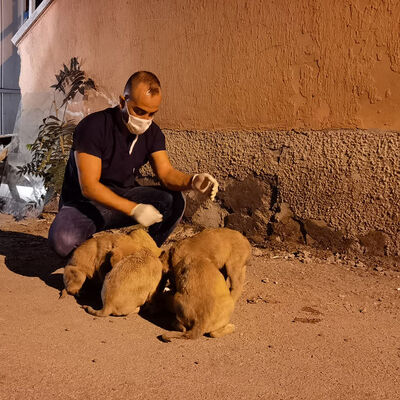 Torbaya konulup ölüme terk edildiler!