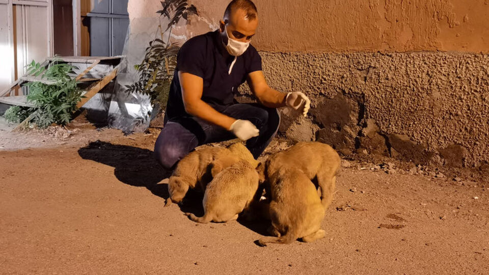 Torbaya konulup ölüme terk edildiler!
