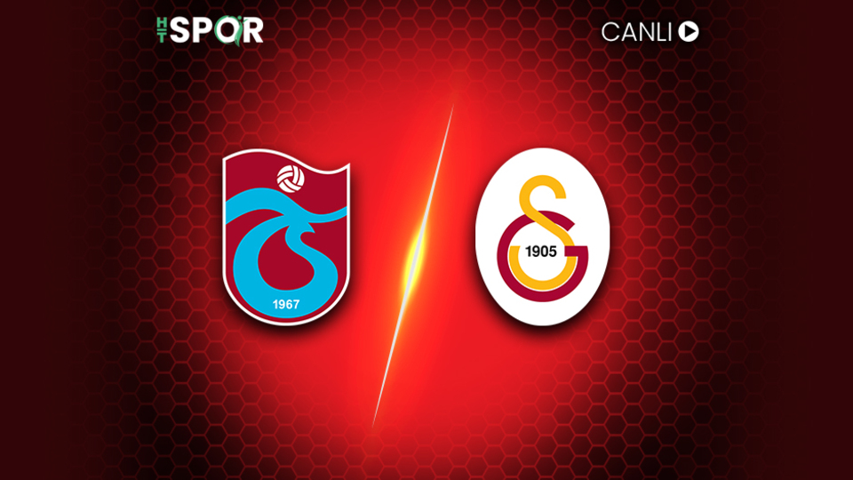 Aslan kaçtı, Fırtına yakaladı