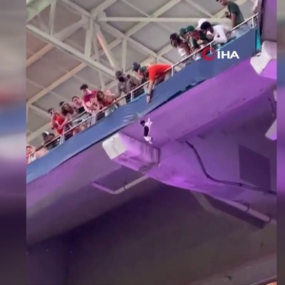 Kedi tribünde asılı kaldı, taraftarlar kurtardı!