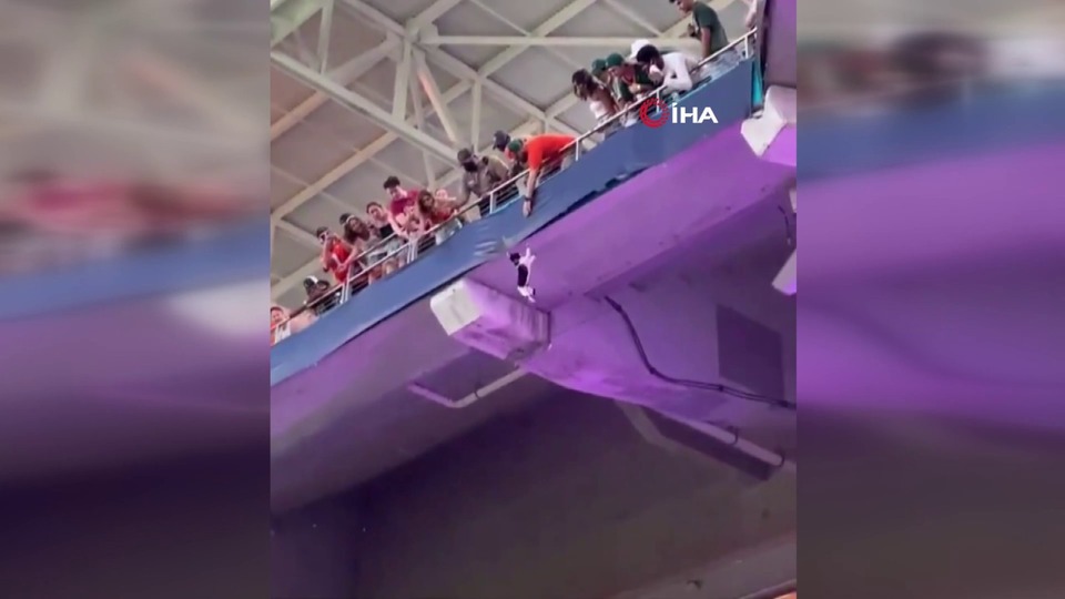 Kedi tribünde asılı kaldı, taraftarlar kurtardı!