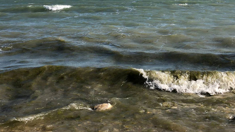 Eğirdir'i kirleten deşarj borusu ortaya çıktı!