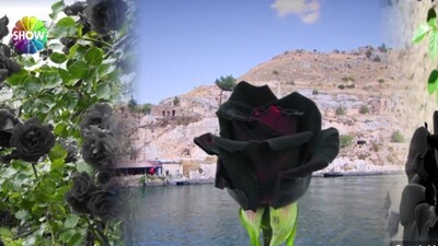 Karagül yağının kilosu 80 bin dolar!