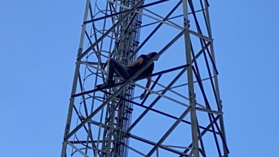 Çıktığı direkte uyuyakaldı