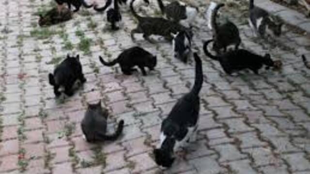 Kötü koku şikayeti ortaya çıkardı