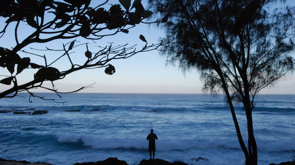 Japonya'dan Hawaii'ye: 37 yıllık mesaj