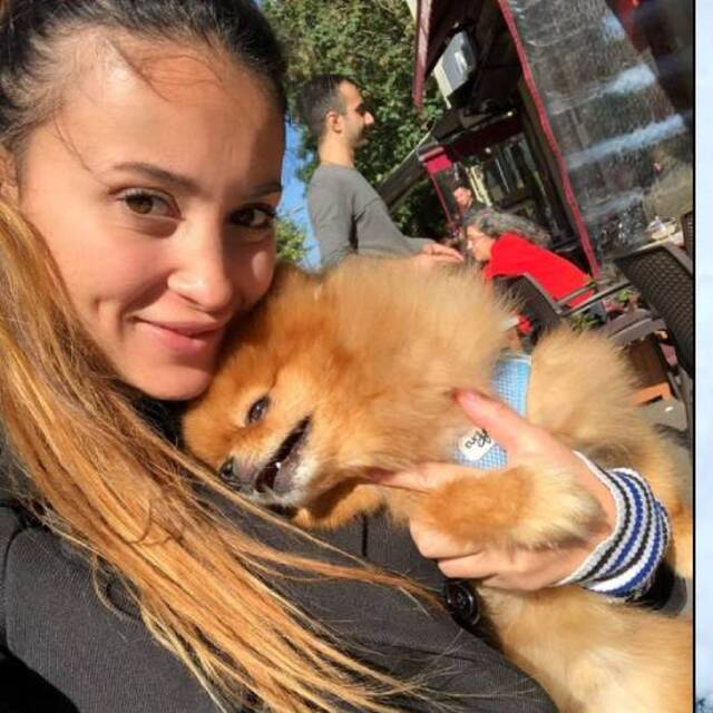 Köpek otelindeki ölüme suç duyurusu