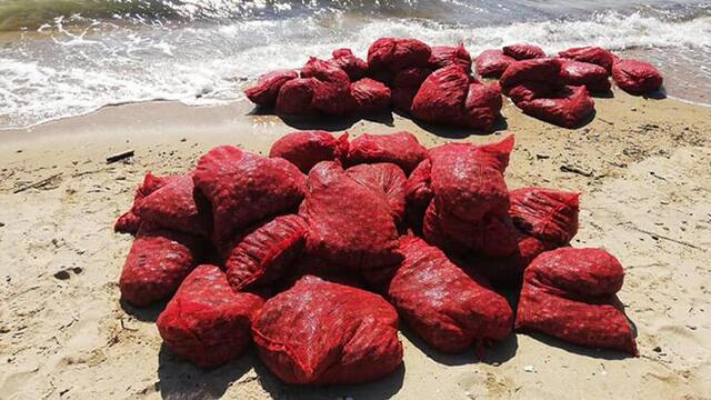 İstanbul'da 4 ton midye ele geçirildi