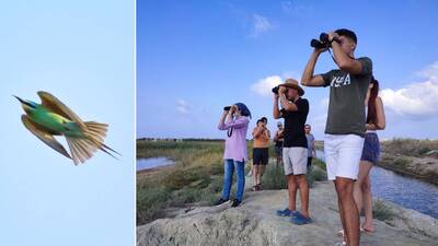 O ilde 31 yıl sonra görüldü